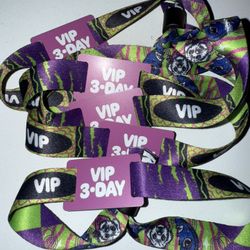 Riot Fest VIP Sunday. $175 each. Meet at entrance!!