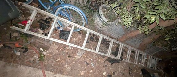 30ft extending latter
