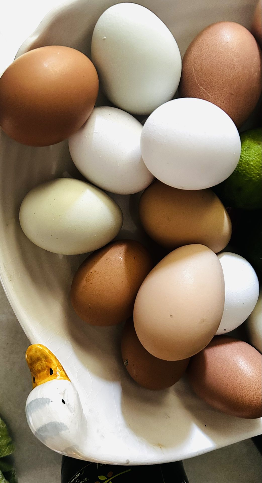 Free Range Eggs