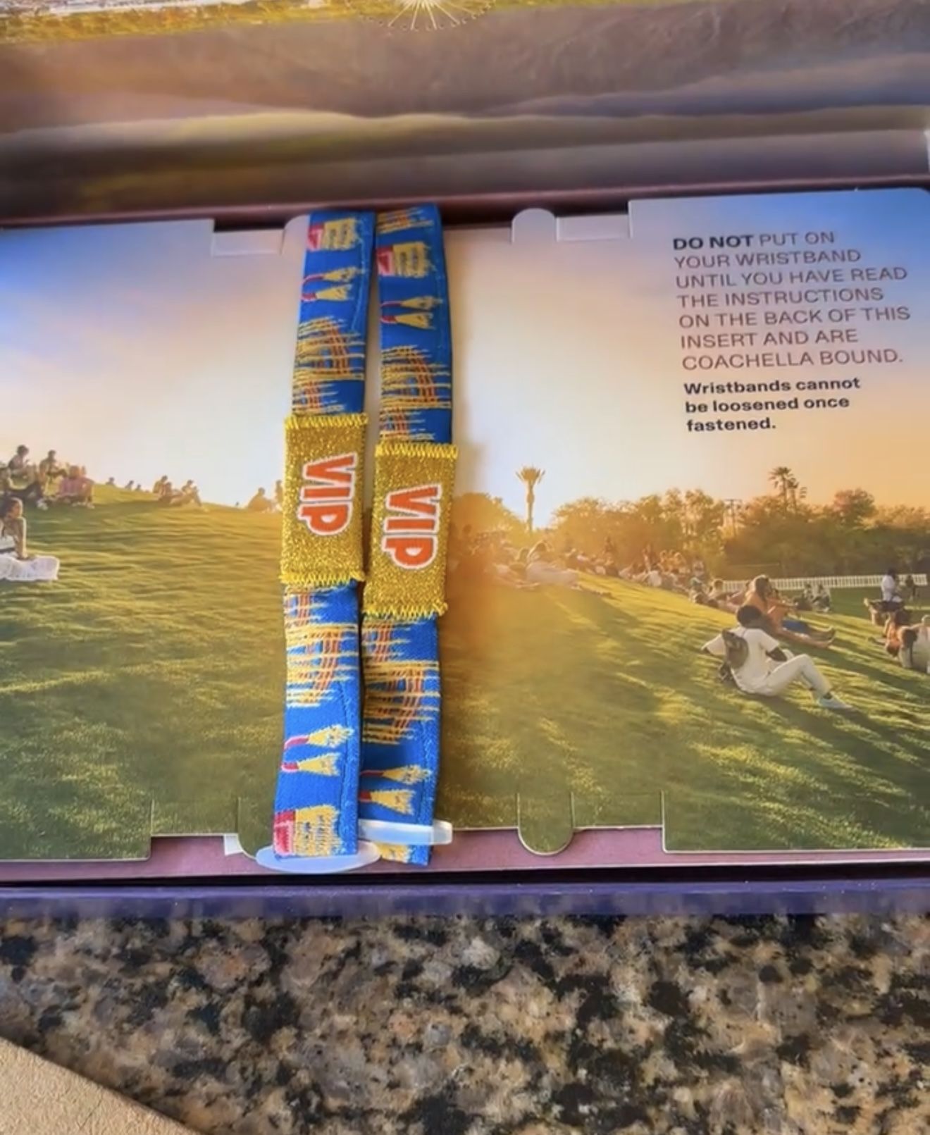 Coachella Fest VIP Ticket X2 ( With Shuttle Pass )
