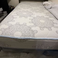 Queens Size Mattress, Plz See Description 