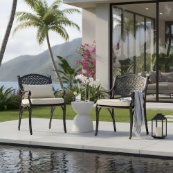Harmon 2-Piece Outdoor Dining Chair Set for Patio