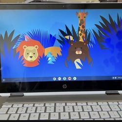 HP -2-in-1 14 “Touchscreen Chromebook”