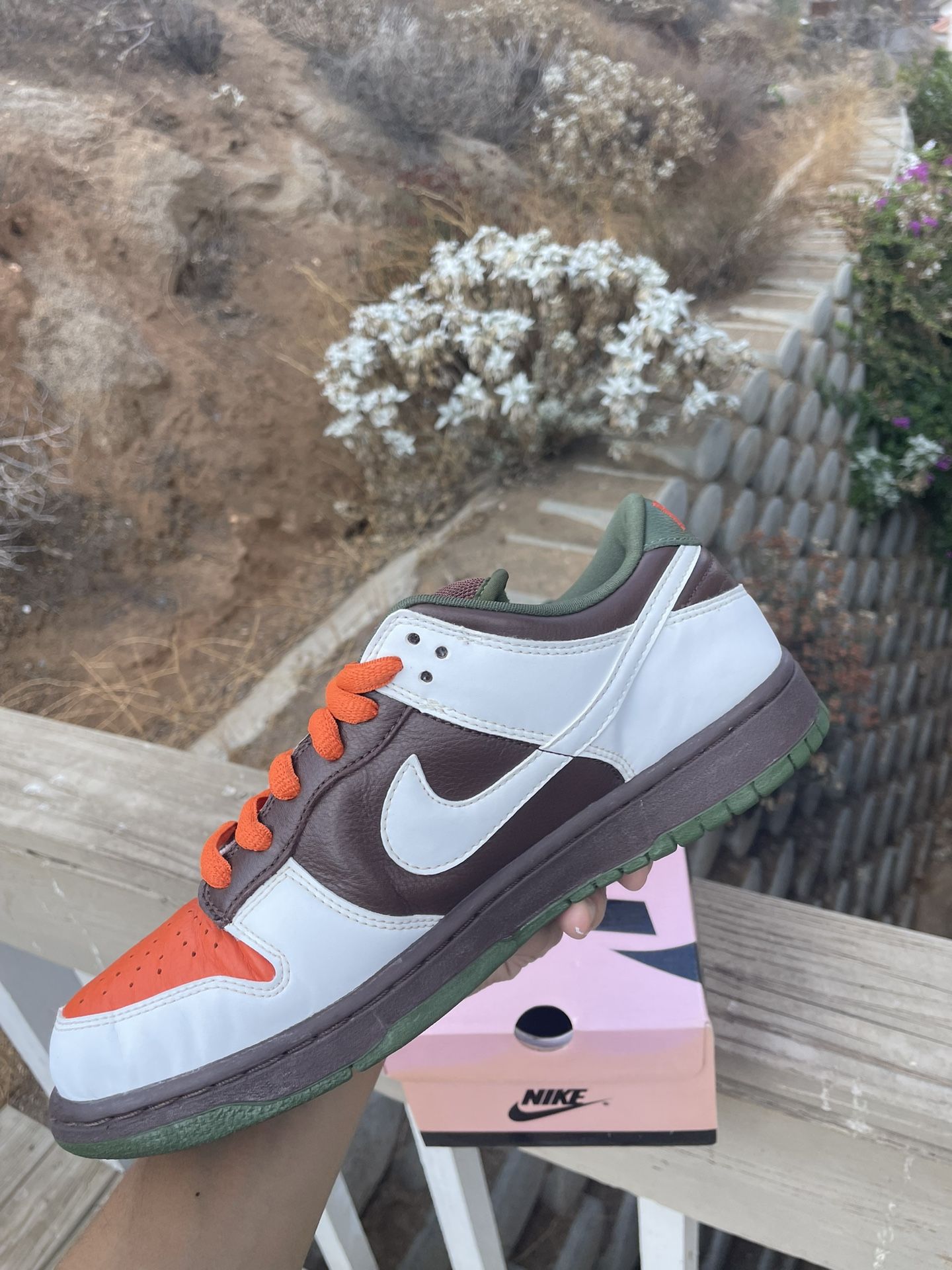 2005) Nike SB Dunk Low 