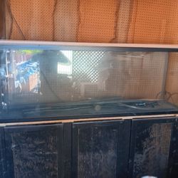 Fish or Reptile Tank