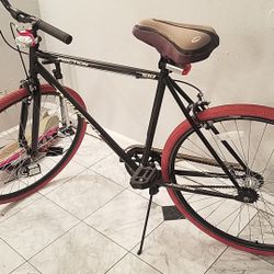 Single Friction Fixie Bike