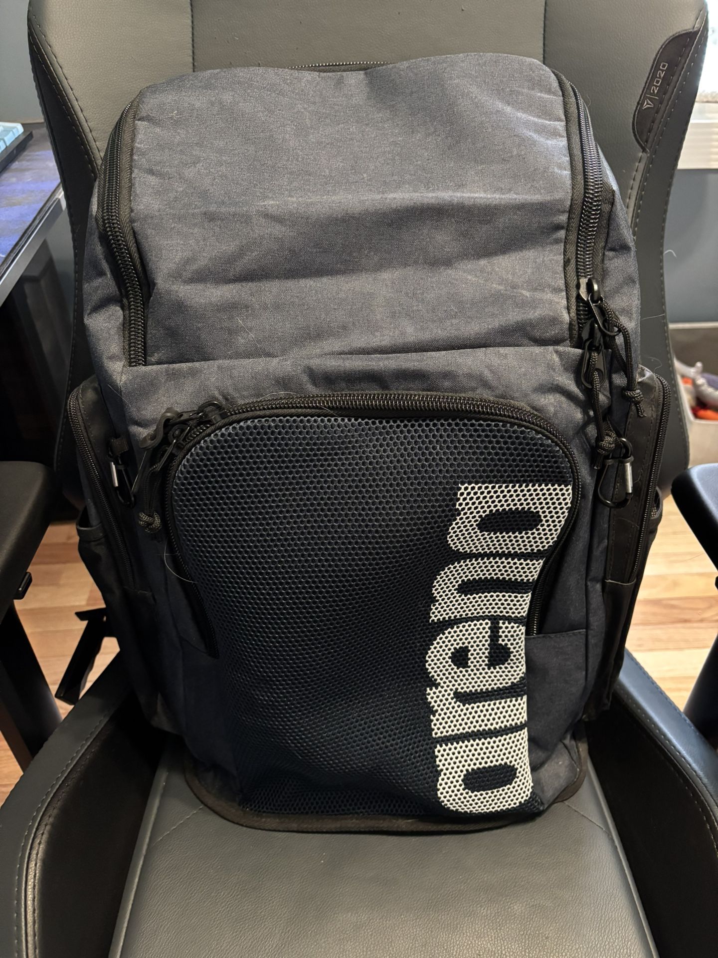 Arena Backpack