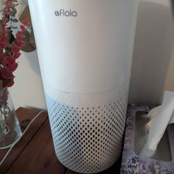 Humidifier 