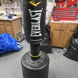 Everlast Punching Bag And Sparing Gloves