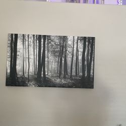 Dark Forest 