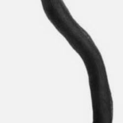 RADIATOR HOSE, Ford 6.0L