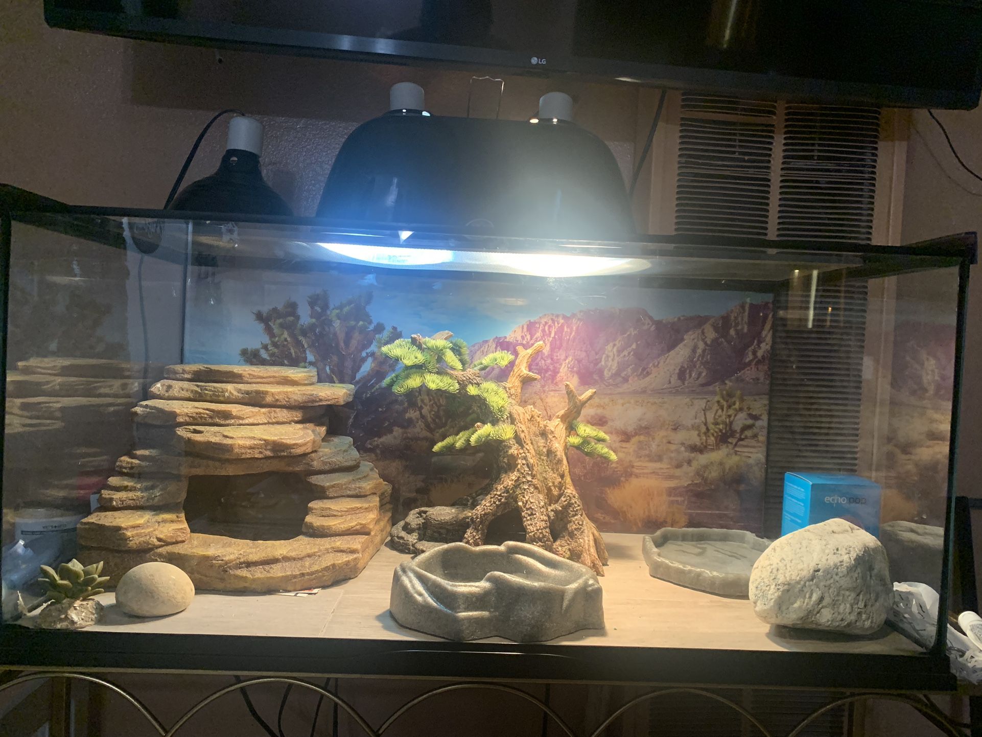 40 Gallon Lizard Tank for Sale in Compton, CA OfferUp