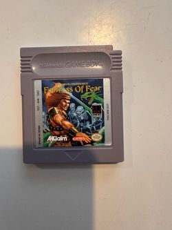 Wizards & Warriors X: Fortress of Fear - Nintendo Game Boy