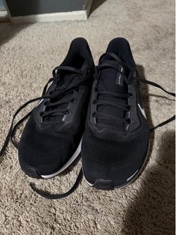 Nike Pegasus 41 size 10