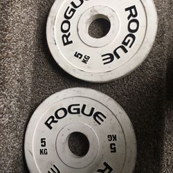 Rogue Change Plates 50.00 For The Pair