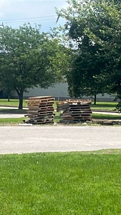Free pallets
