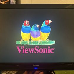ViewSonic 25” T.V.
