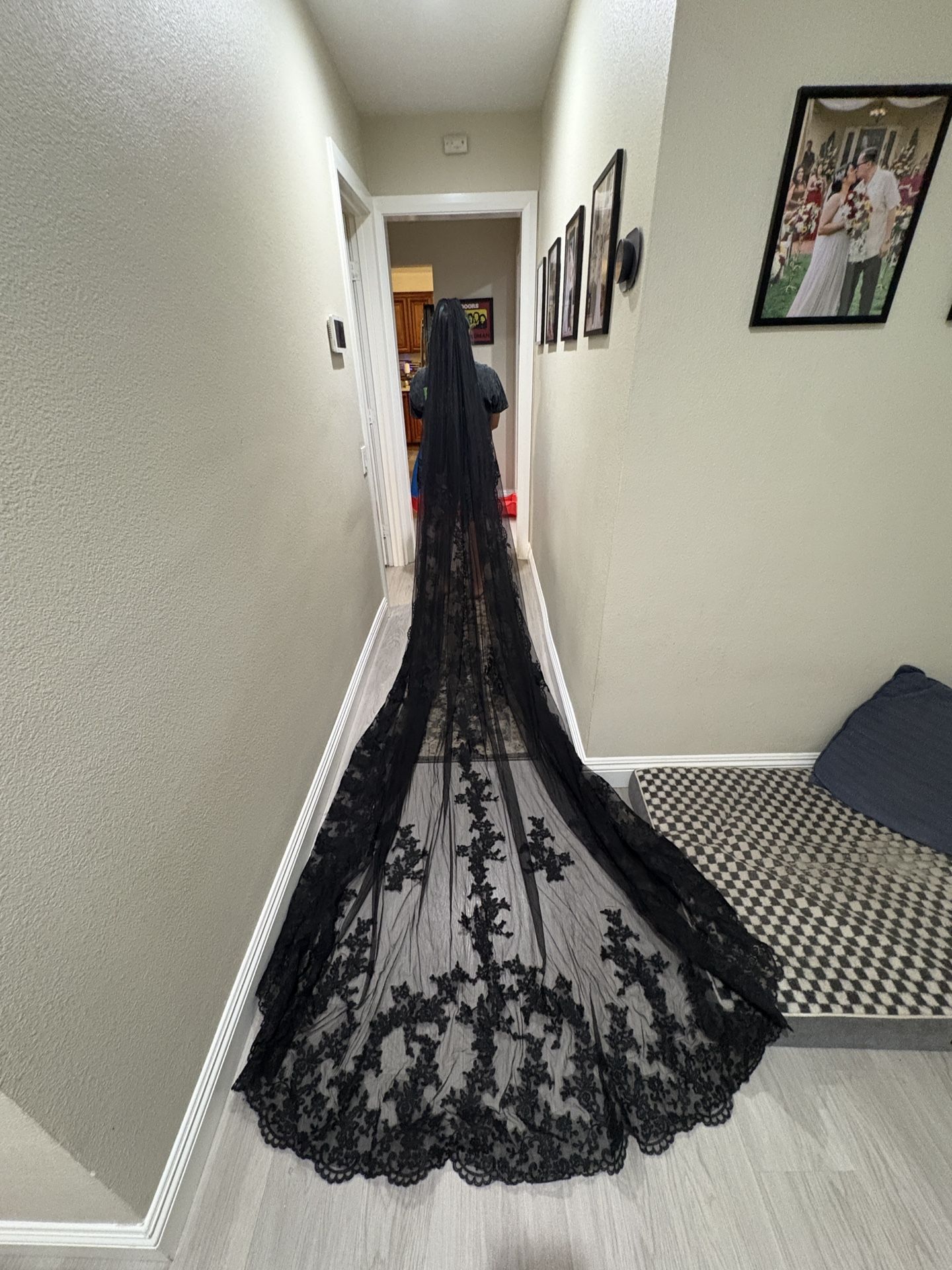 Till Death Do Us part ensemble (black wedding dress + black veil)