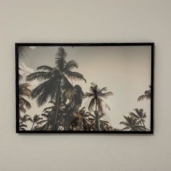 Framed Palm Tree Picture 