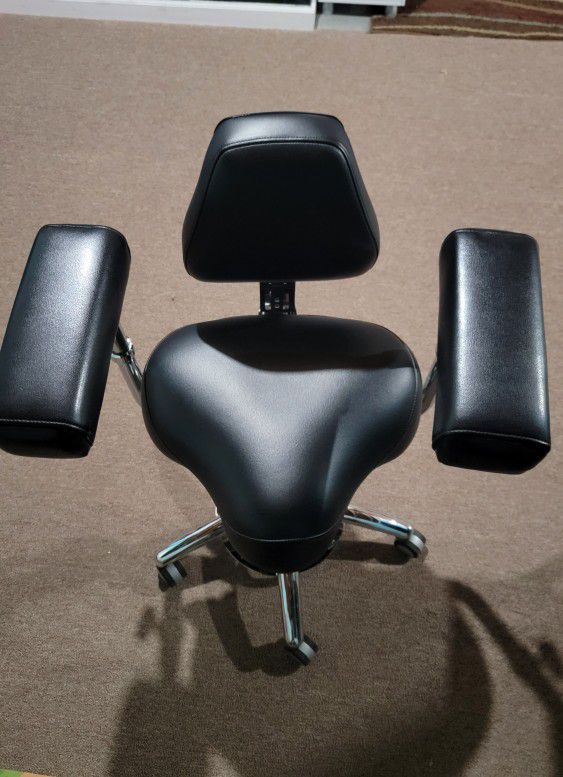 BQE Ergonomic Chair