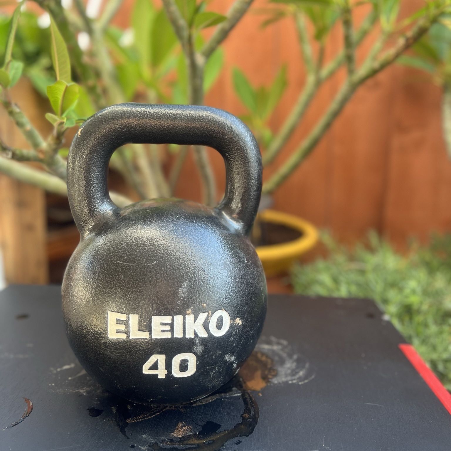 Eleiko kettlebell deals