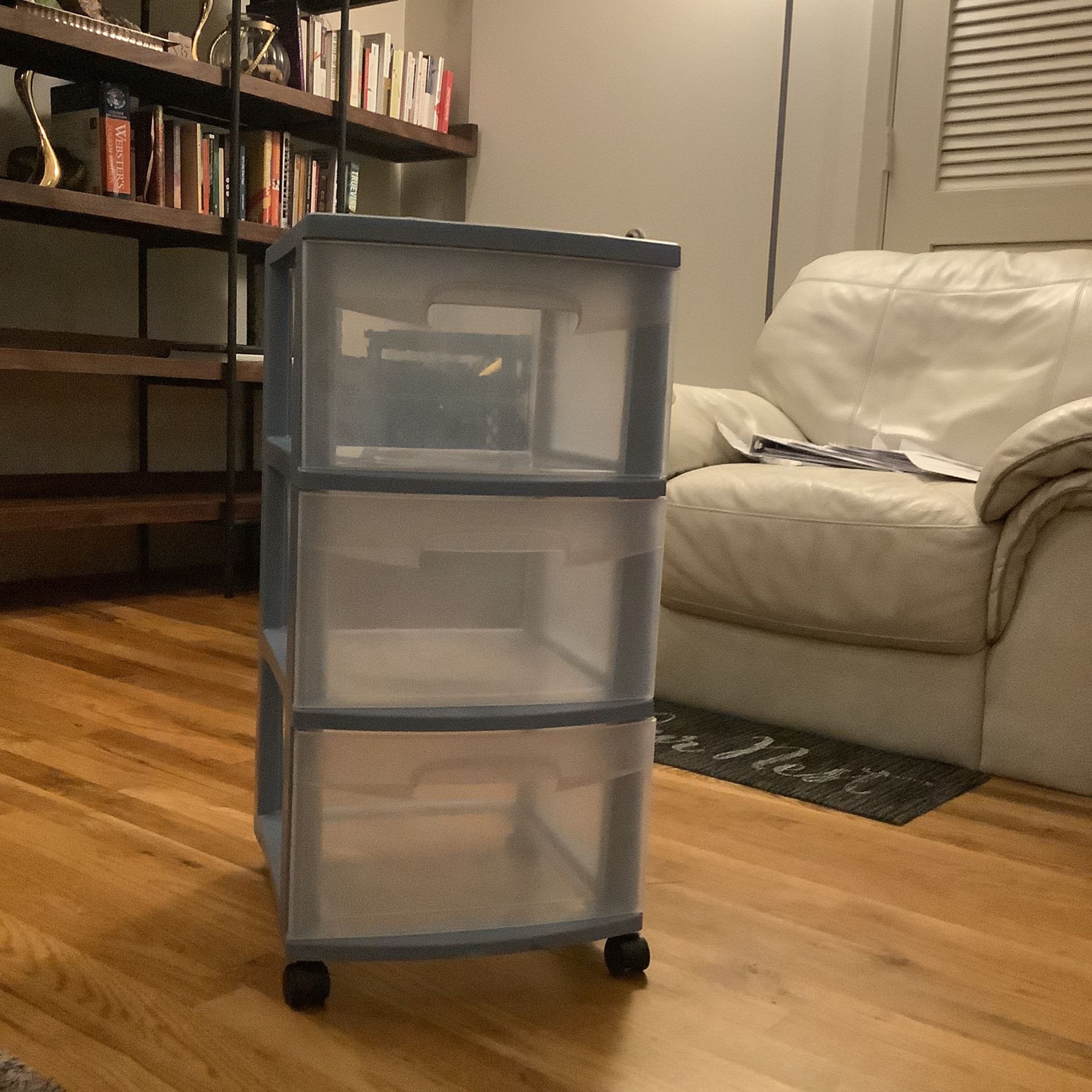 Blue Organizer Storage Drawer 