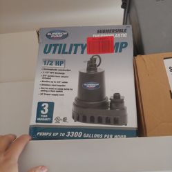Utility pump