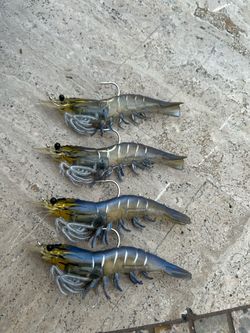 Shrimp lures ocean fishing