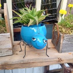 Cute Bug Flower Pot With Flowers