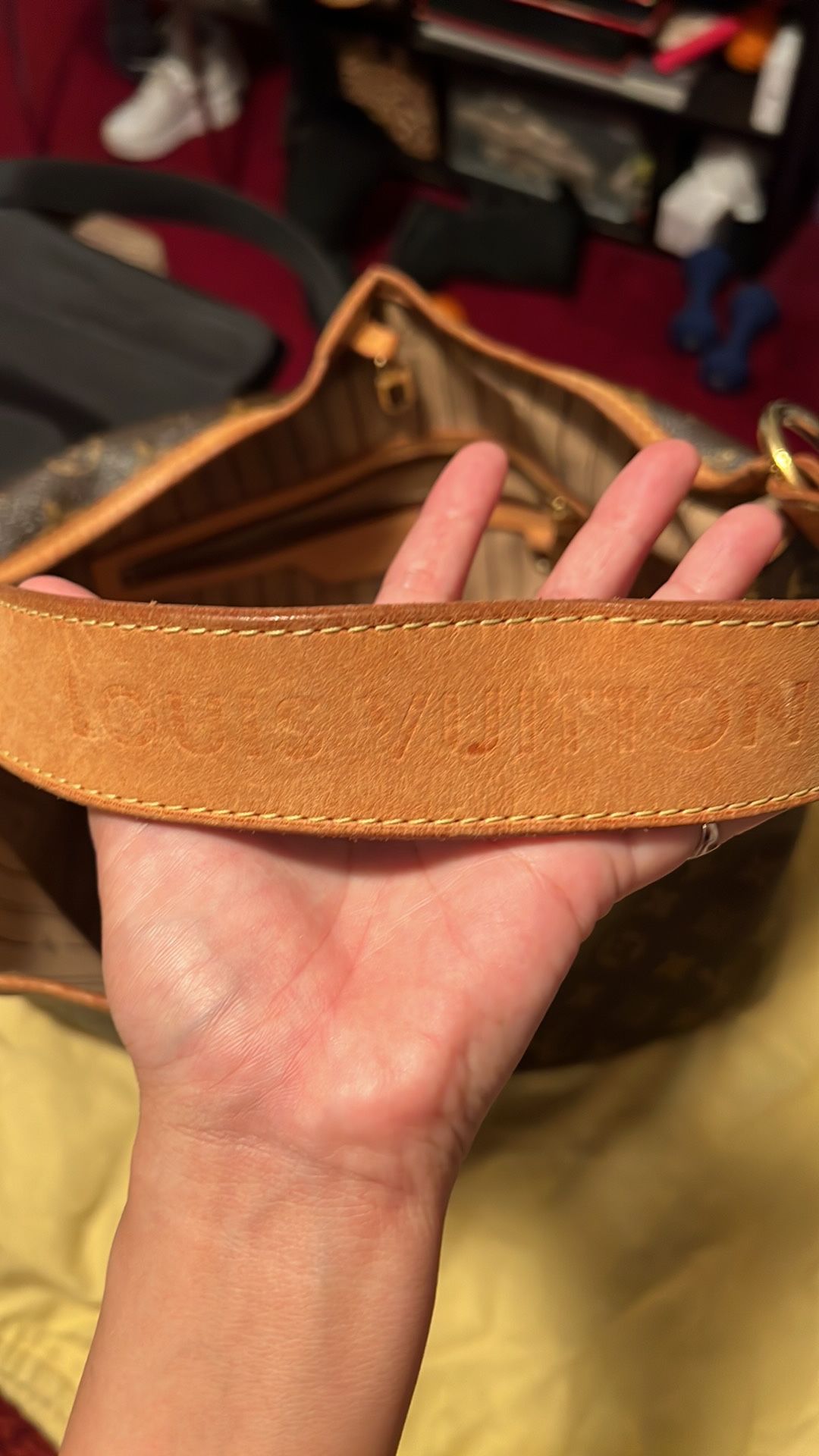 Louis Vuitton Delightful
