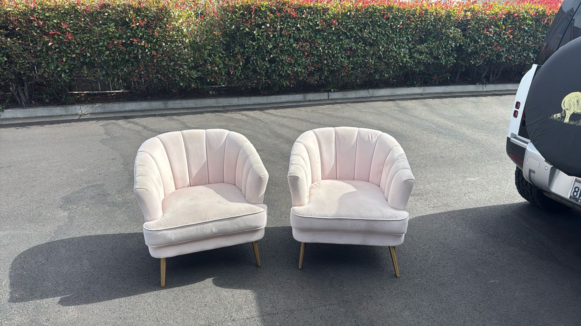 Two Plush Chairs