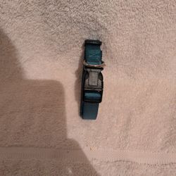 Small Dog Collar 
