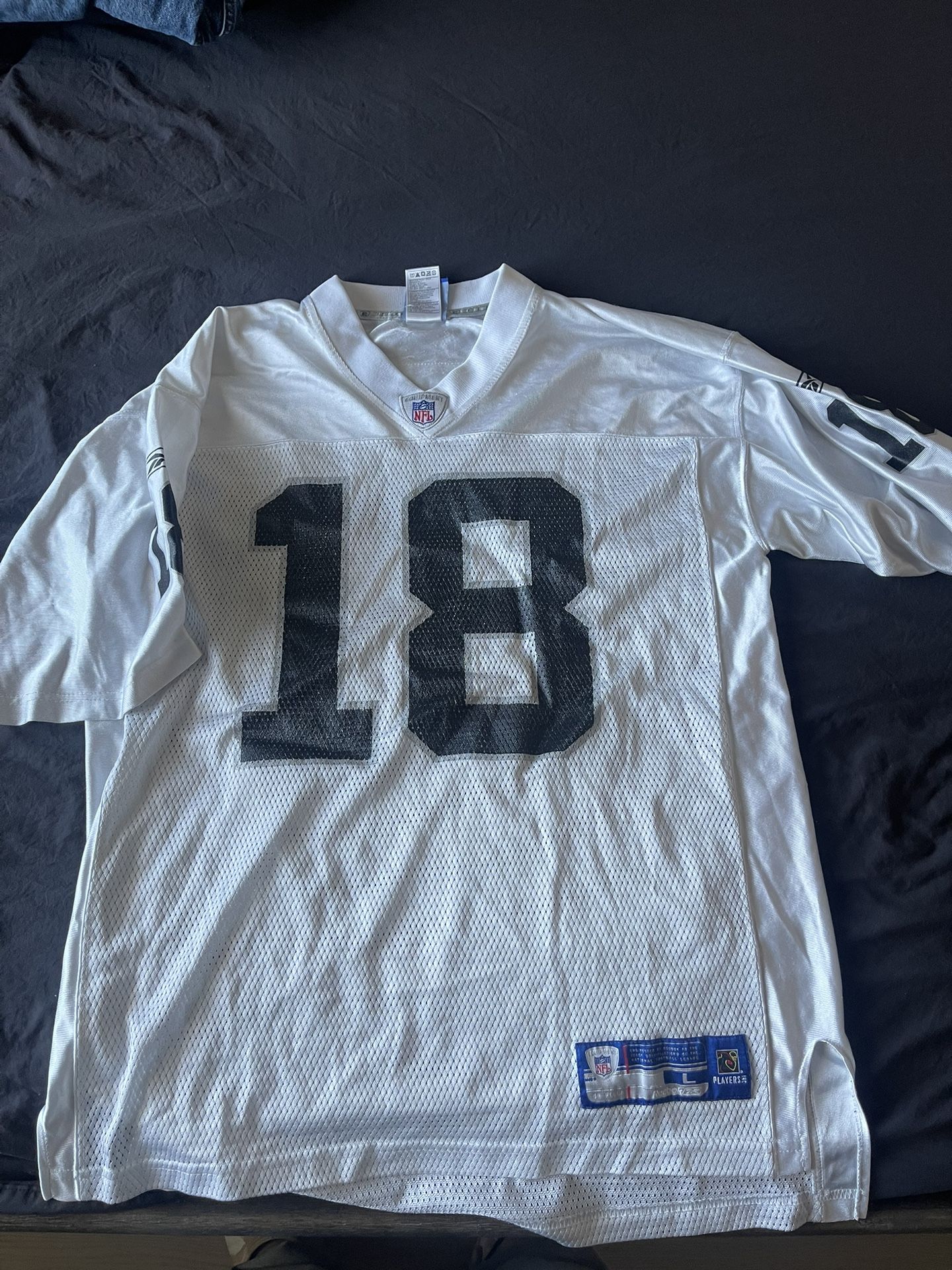 Vintage Randy Moss Raiders Jersey