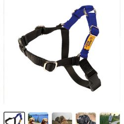 Wonder Walker Dog Harness 