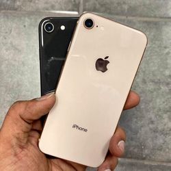 iPhone 8 Unlocked 