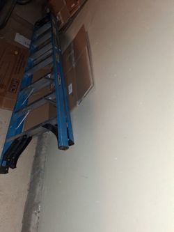 8 foot Ladder