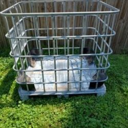 Firewood Storage Ibc Tote Cages 