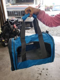 Blue Dog carrier