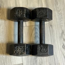 20lb Dumbbells 