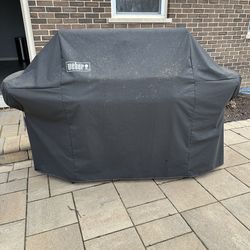 Weber Summit S-620 Natural Gas Stainless Steel Grill