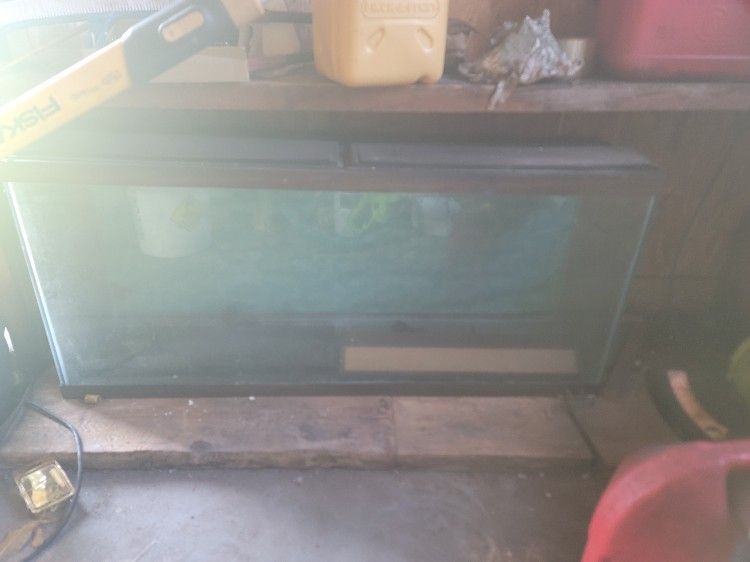 Fishtank