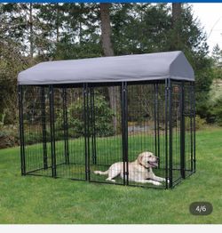 Doge kennel