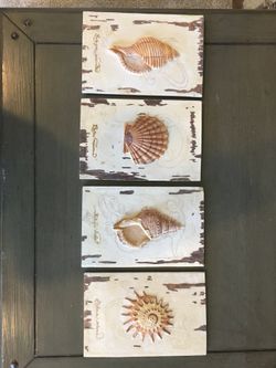 Hang on wall seashells