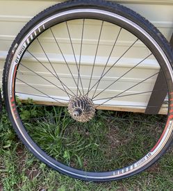 Tracer Pro Rims & Tires