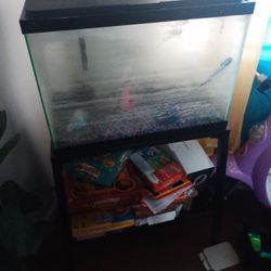 Fish Tank And Stand