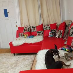 Red Couch 