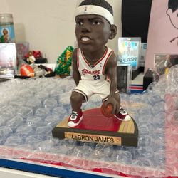 LeBron James Etc 