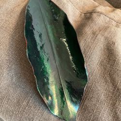 Traditional Handicraft  Hand painted 