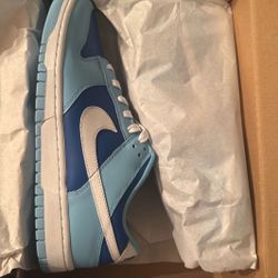 Nike Dunk Argon Blue Size 10.5 