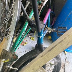 Cult Bmx Bike